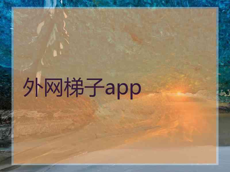 外网梯子app