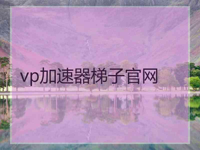 vp加速器梯子官网