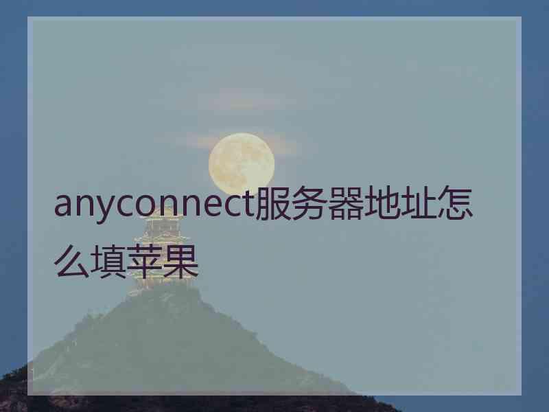 anyconnect服务器地址怎么填苹果