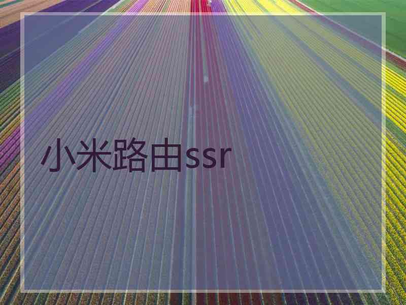 小米路由ssr