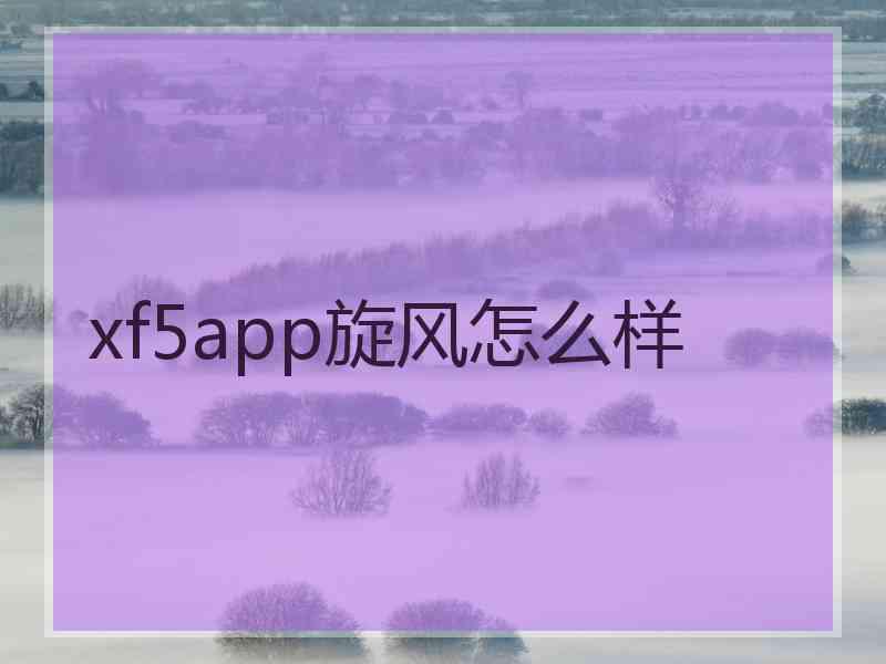 xf5app旋风怎么样