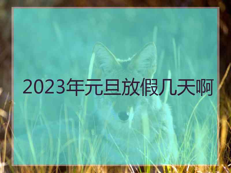 2023年元旦放假几天啊