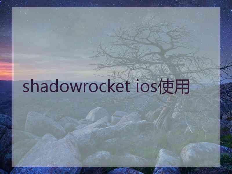 shadowrocket ios使用