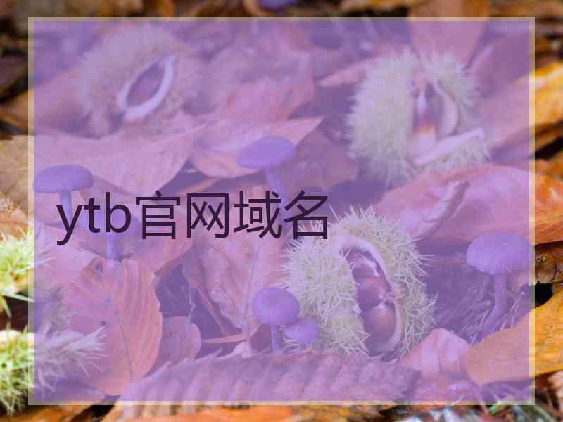 ytb官网域名