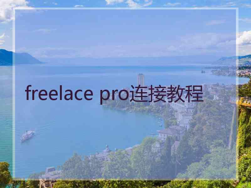 freelace pro连接教程