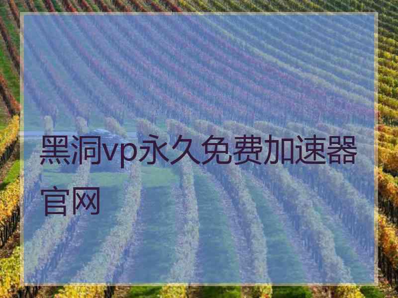 黑洞vp永久免费加速器官网