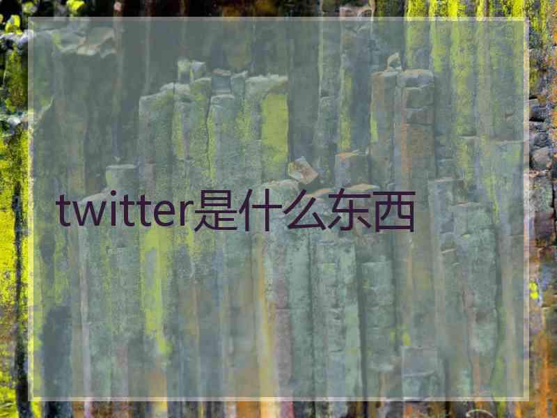 twitter是什么东西