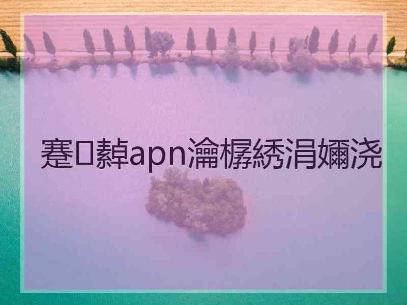 蹇繛apn瀹樼綉涓嬭浇