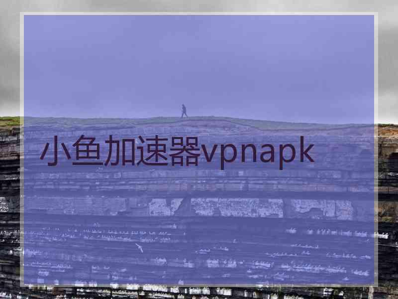 小鱼加速器vpnapk