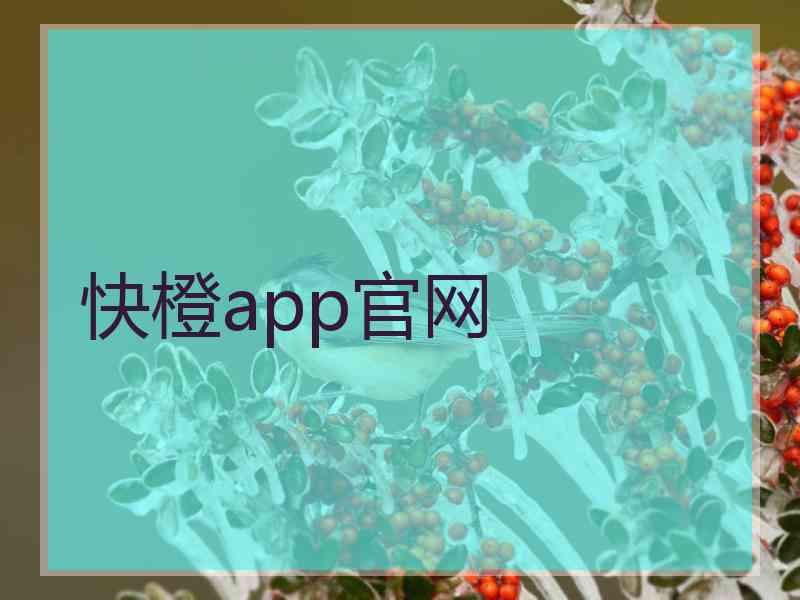 快橙app官网