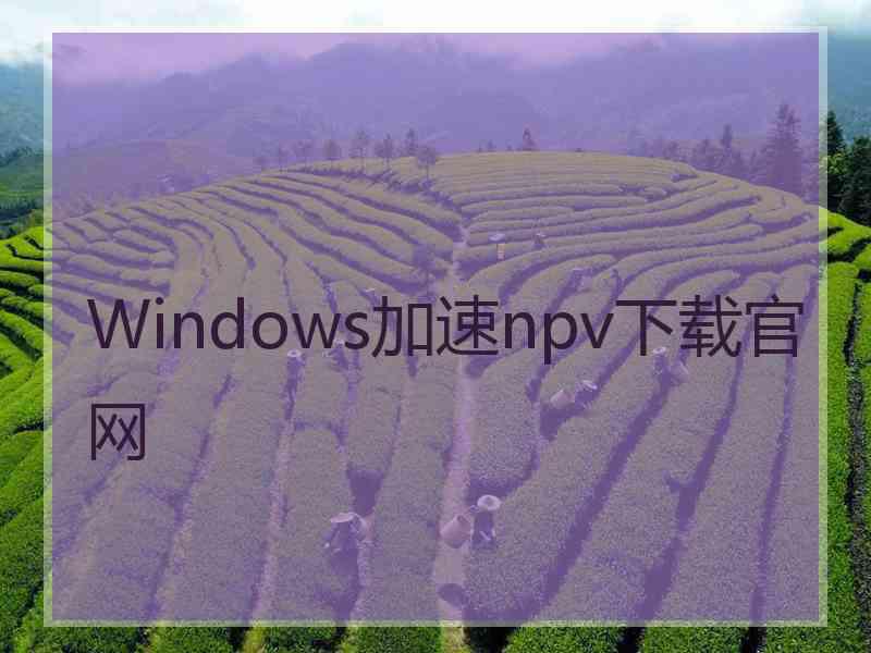 Windows加速npv下载官网