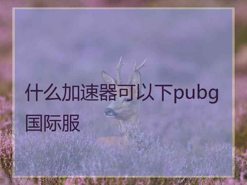 什么加速器可以下pubg国际服