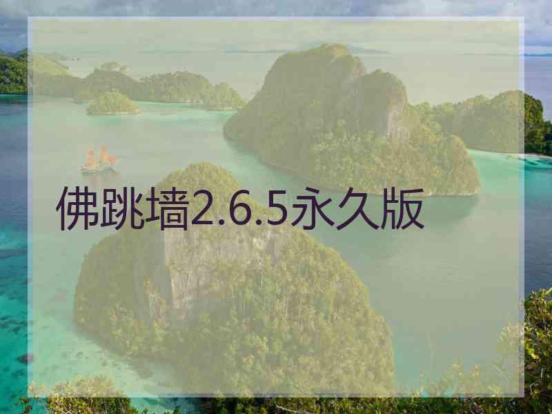 佛跳墙2.6.5永久版