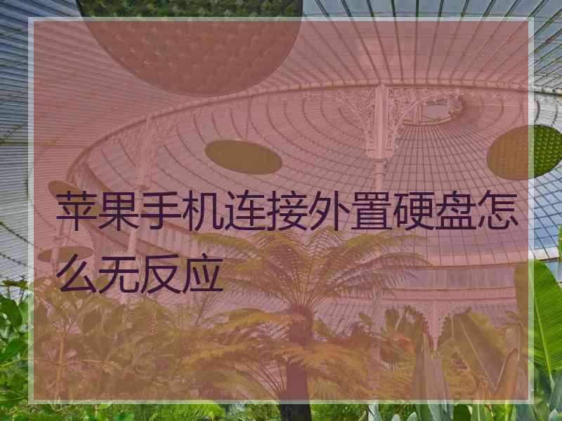 苹果手机连接外置硬盘怎么无反应