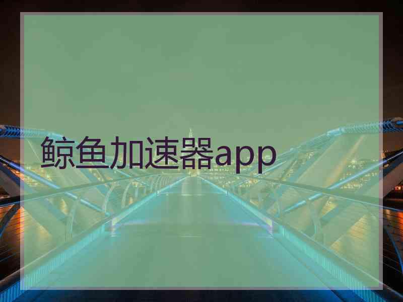 鲸鱼加速器app