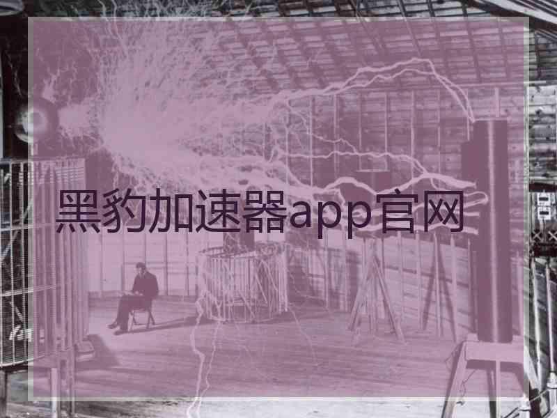 黑豹加速器app官网