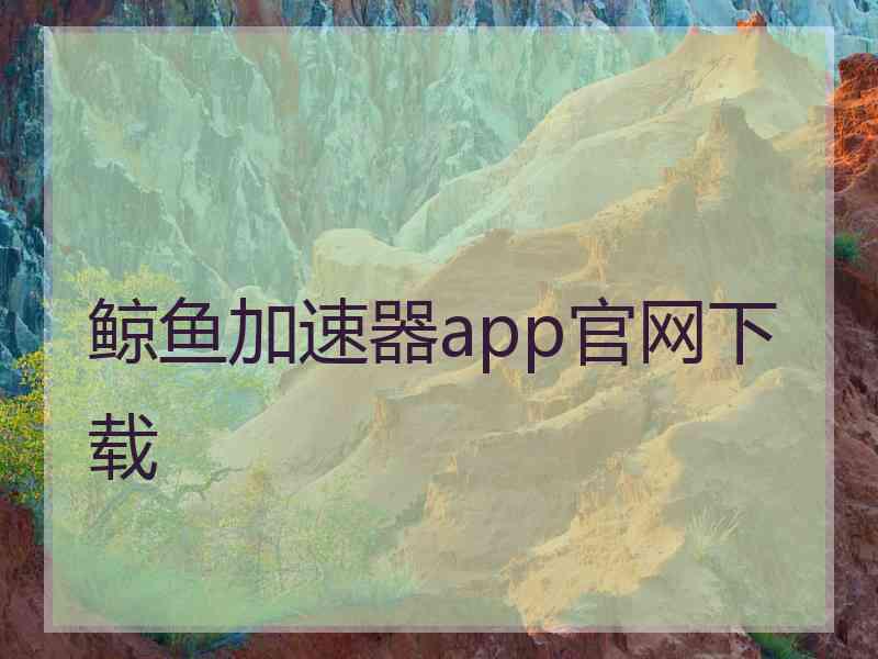 鲸鱼加速器app官网下载