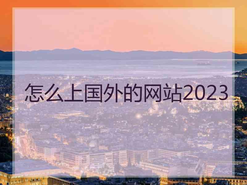 怎么上国外的网站2023