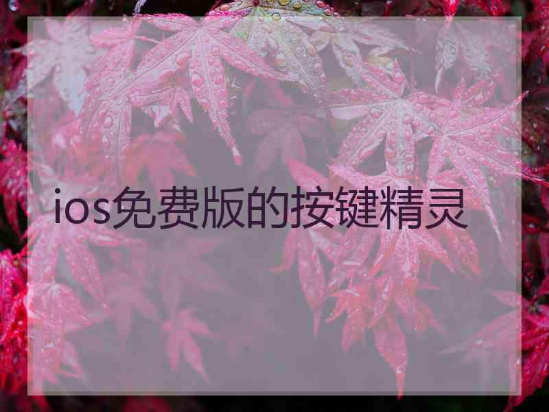 ios免费版的按键精灵