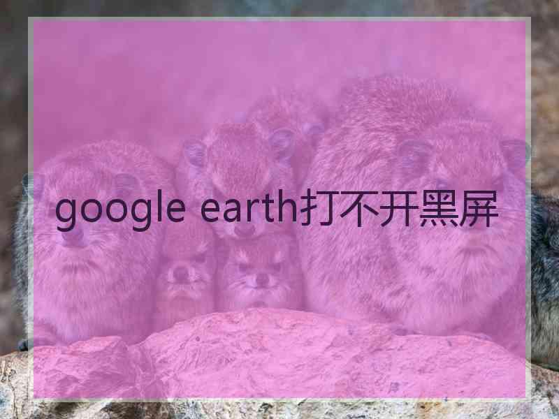 google earth打不开黑屏