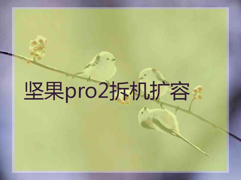 坚果pro2拆机扩容