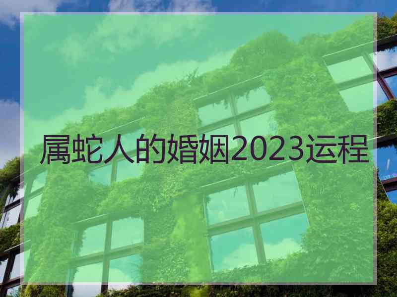 属蛇人的婚姻2023运程