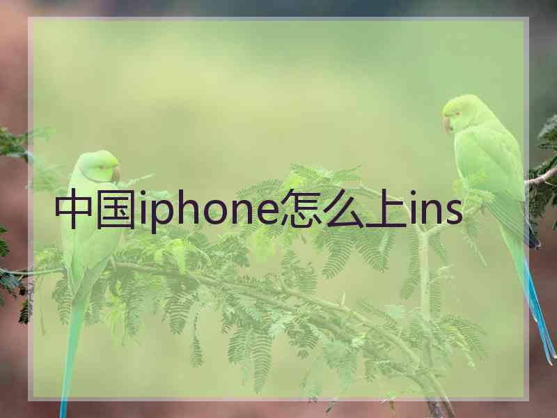 中国iphone怎么上ins