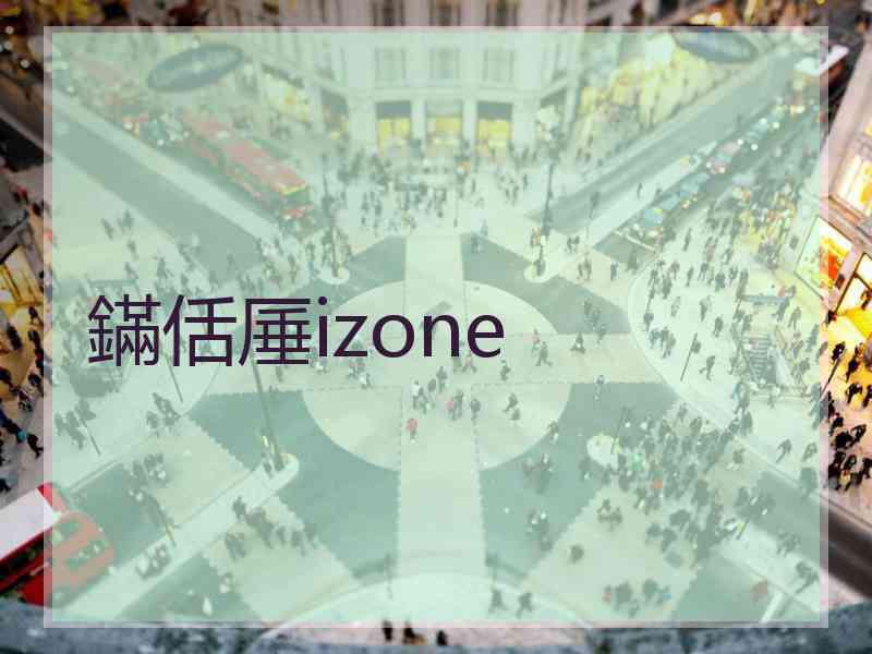 鏋佸厜izone