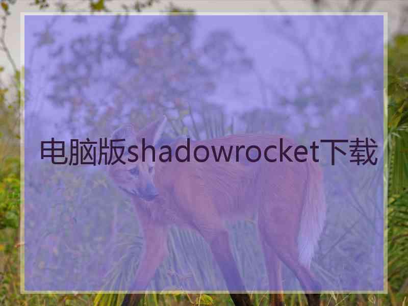 电脑版shadowrocket下载