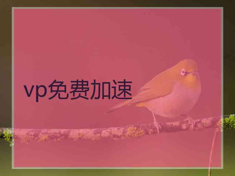 vp免费加速