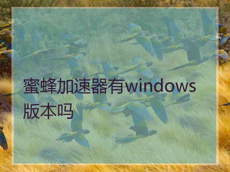 蜜蜂加速器有windows版本吗