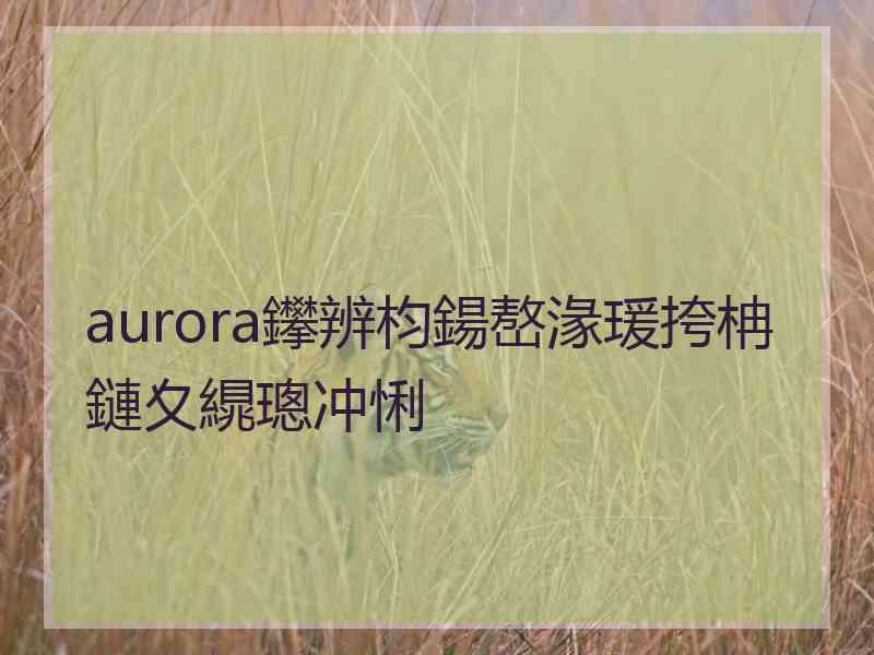 aurora鑻辨枃鍚嶅湪瑗挎柟鏈夊繉璁冲悧