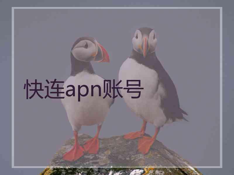 快连apn账号