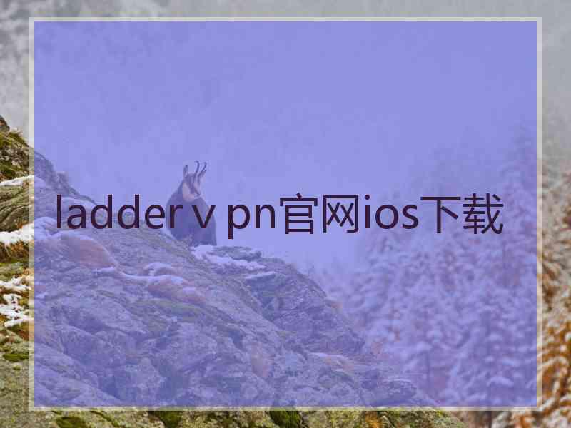 ladderⅴpn官网ios下载