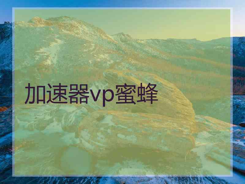 加速器vp蜜蜂