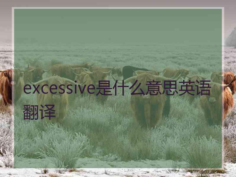 excessive是什么意思英语翻译