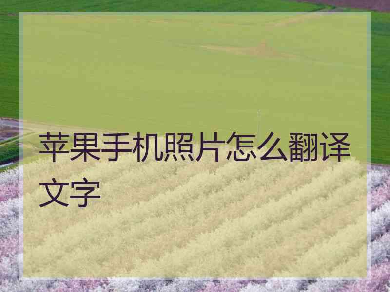 苹果手机照片怎么翻译文字