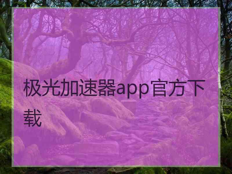 极光加速器app官方下载