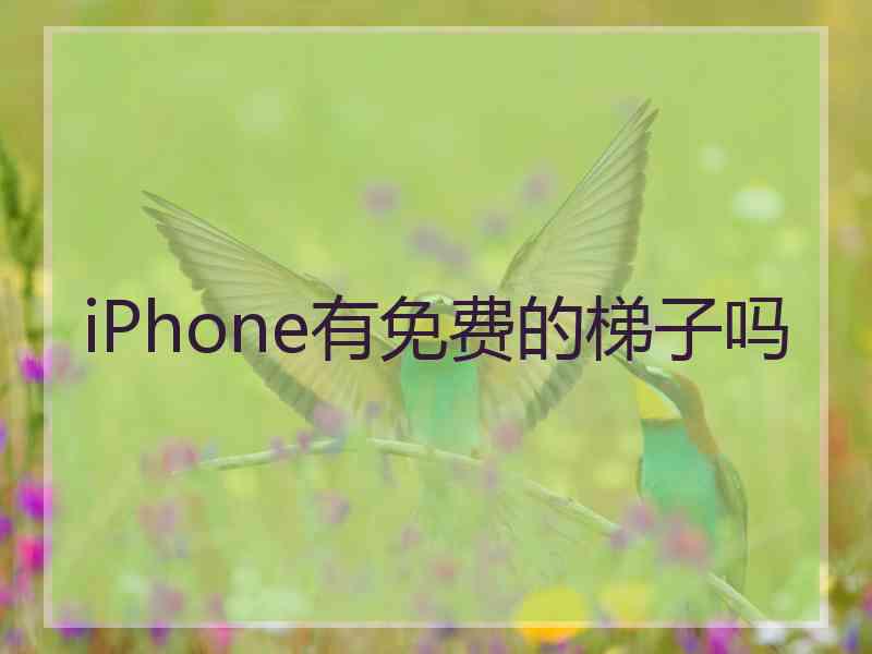 iPhone有免费的梯子吗