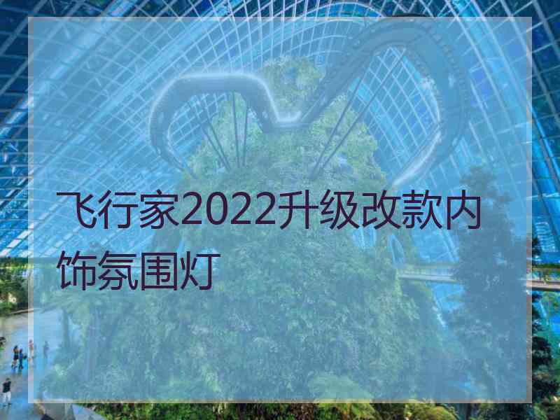 飞行家2022升级改款内饰氛围灯