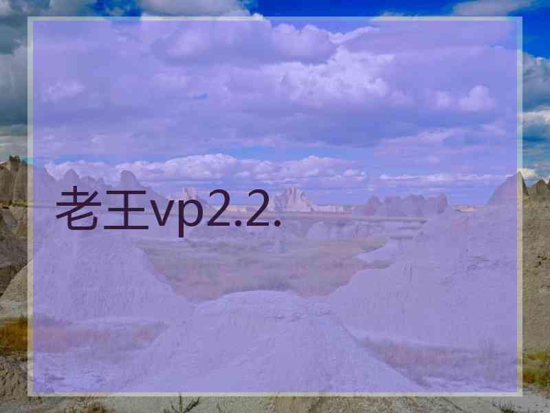 老王vp2.2.