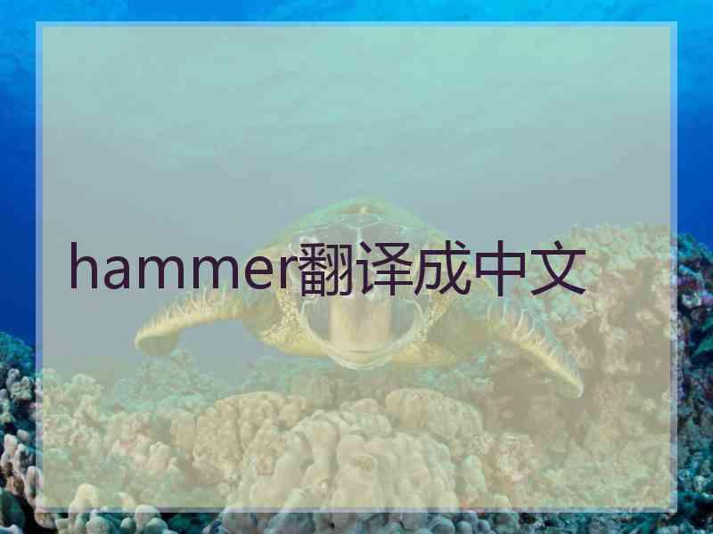 hammer翻译成中文