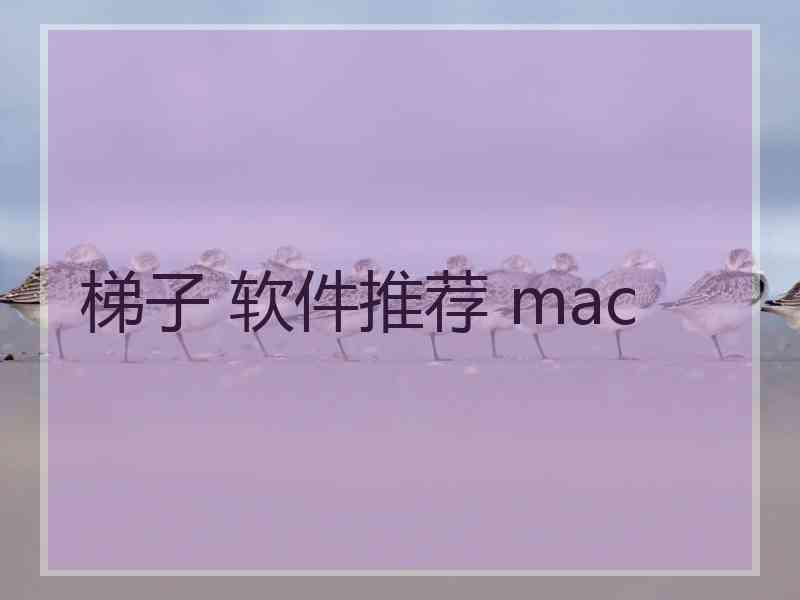 梯子 软件推荐 mac