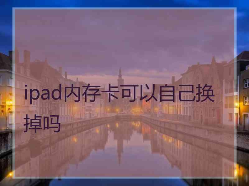 ipad内存卡可以自己换掉吗