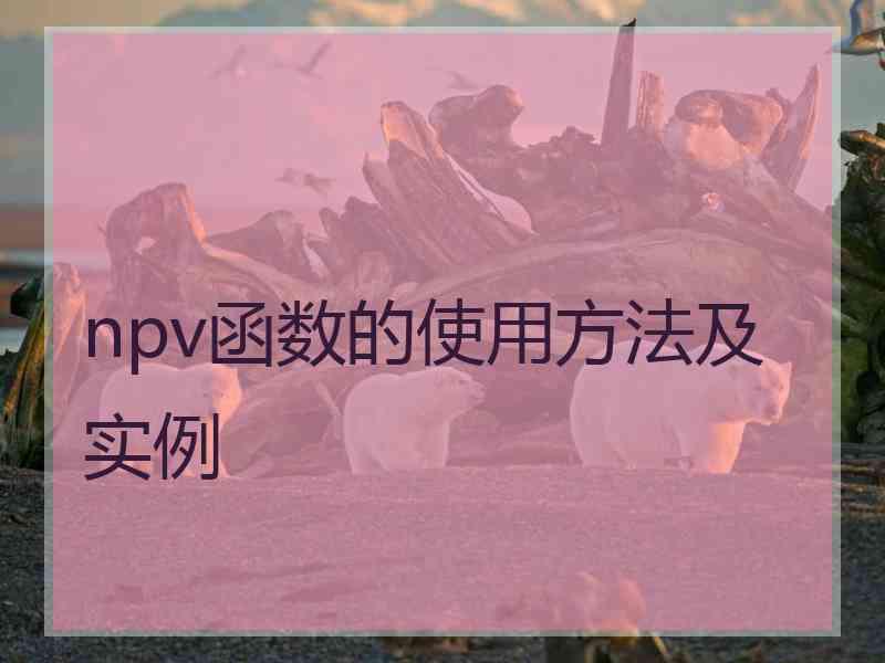 npv函数的使用方法及实例