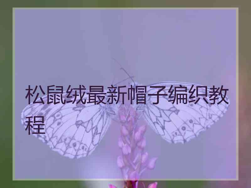 松鼠绒最新帽子编织教程