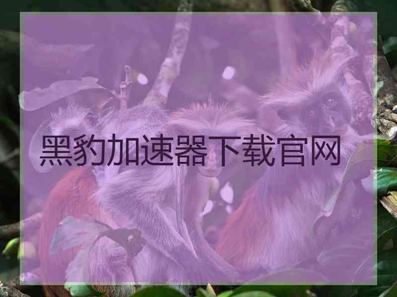 黑豹加速器下载官网