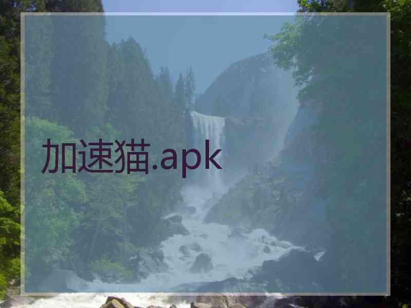 加速猫.apk