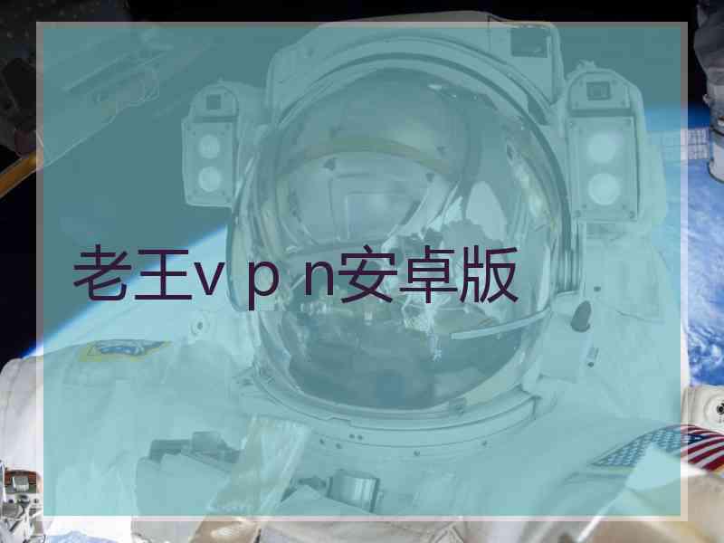 老王v p n安卓版