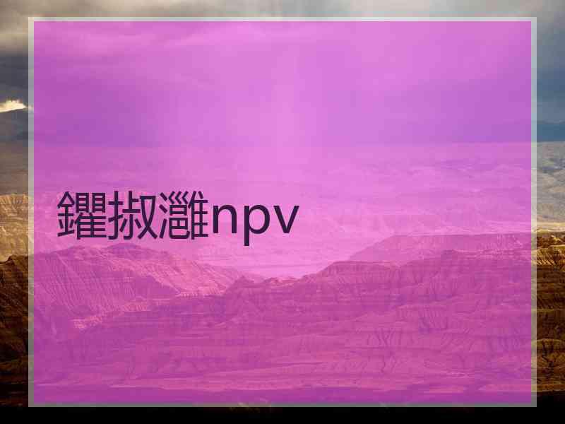 鑺掓灉npv